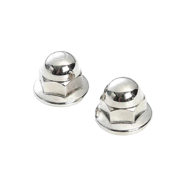 बलूत का फल निकला हुआ किनारा