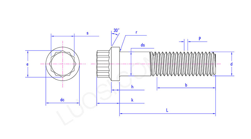 12 Point Cap Screw