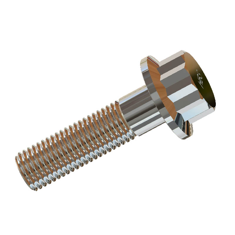 12 Point Cap Screw